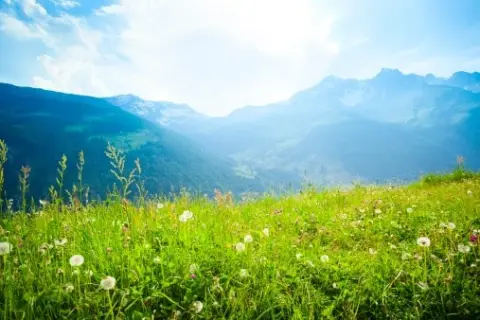 Verbringen Sie Ihren Sommerurlaub im Rarău-Gebirge!