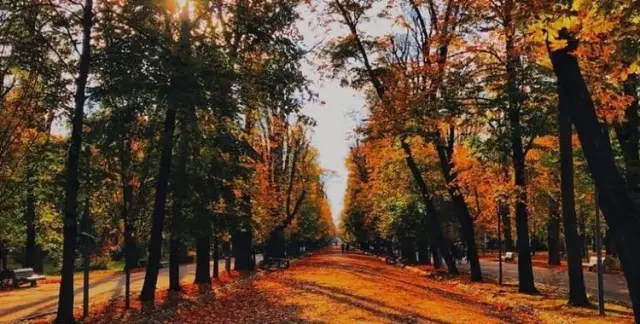 3. Cluj-Napoca