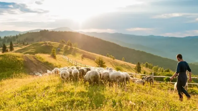 Die Karpaten, das Wahrzeichen unseres Landes