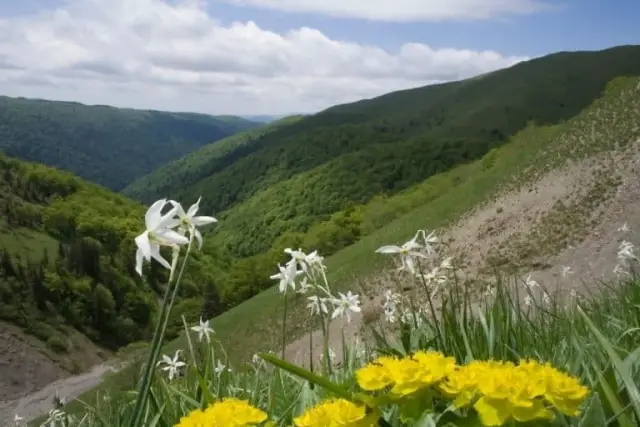 Sehenswürdigkeiten im Kreis Sălaj