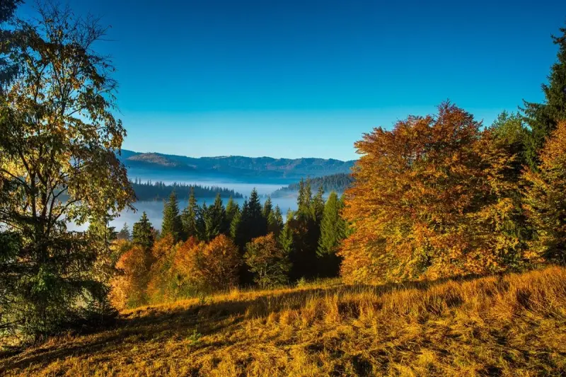 Begrüßen Sie den Herbst im Kurort Borsec!