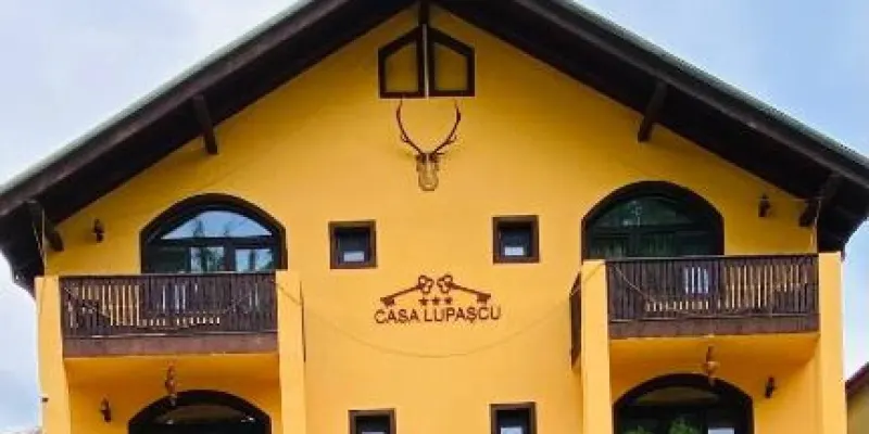 Casa Lupascu, foto 2 van 77