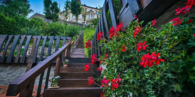 Casa Savri, Foto 3 von 31