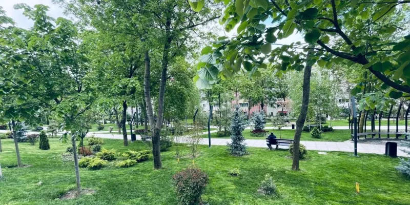 La Burini, foto 4 van 17