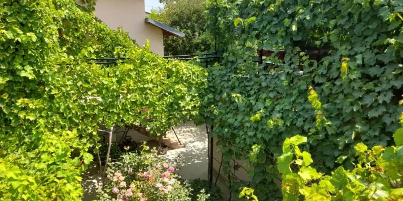 Pensiunea Lyo, Foto 2 von 26