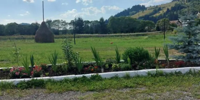 Pensiunea Poiana Dornei, foto 4 van 45