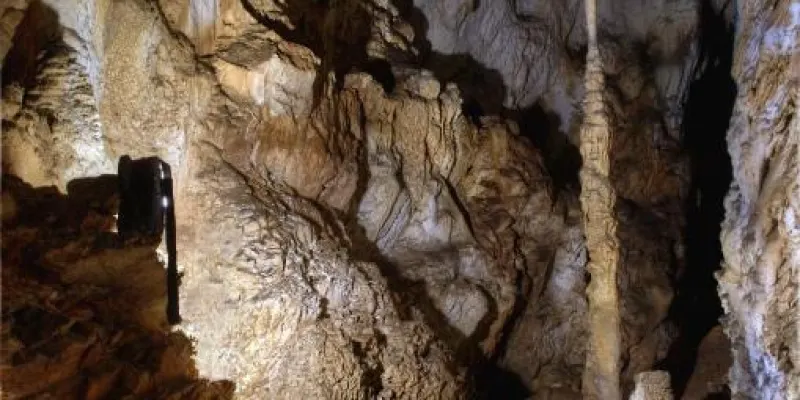 Pensiunea Viorica, Foto 2 von 45
